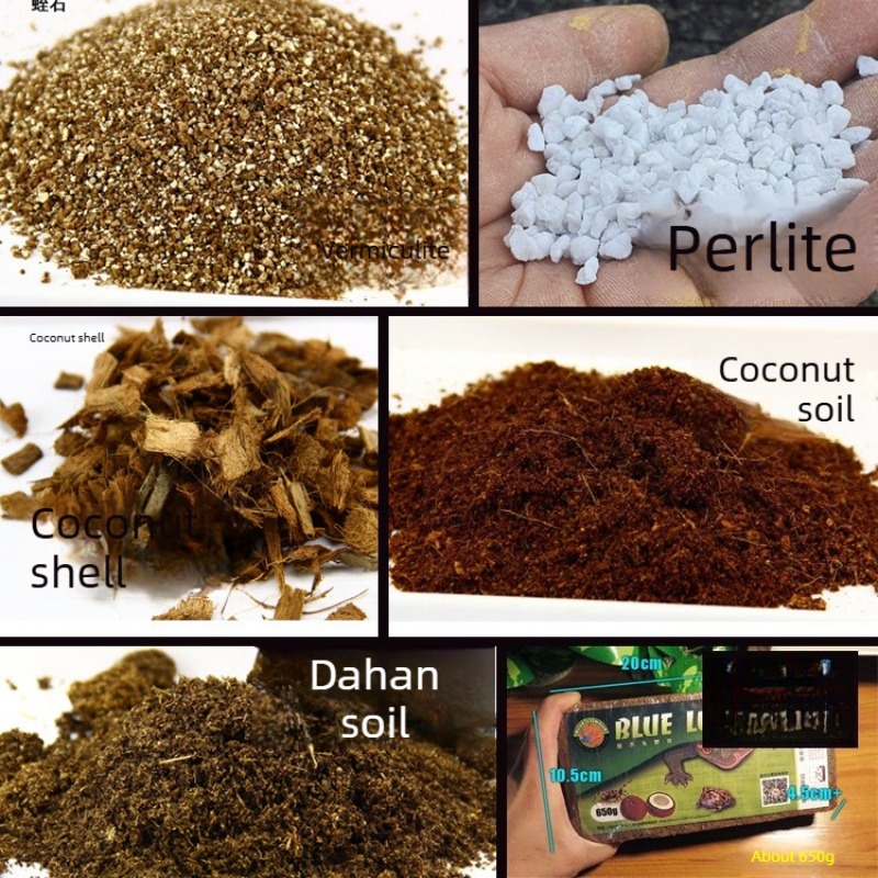 Sphagnum Moss Dry - Bata Tanah Kelapa Substrat Reptil Tempat