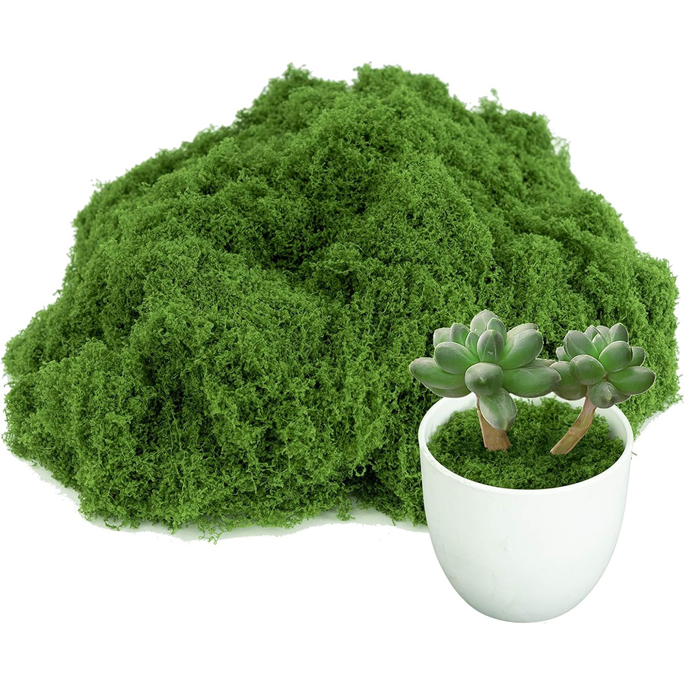 Rumput Lumut Kehidupan Abadi K - Sphagnum Moss Dry ulasan dan harga