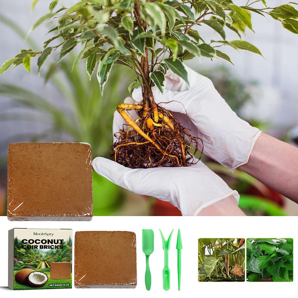 Batu Bata Serat Sabut Kelapa - - Sphagnum Moss Dry ulasan dan harga