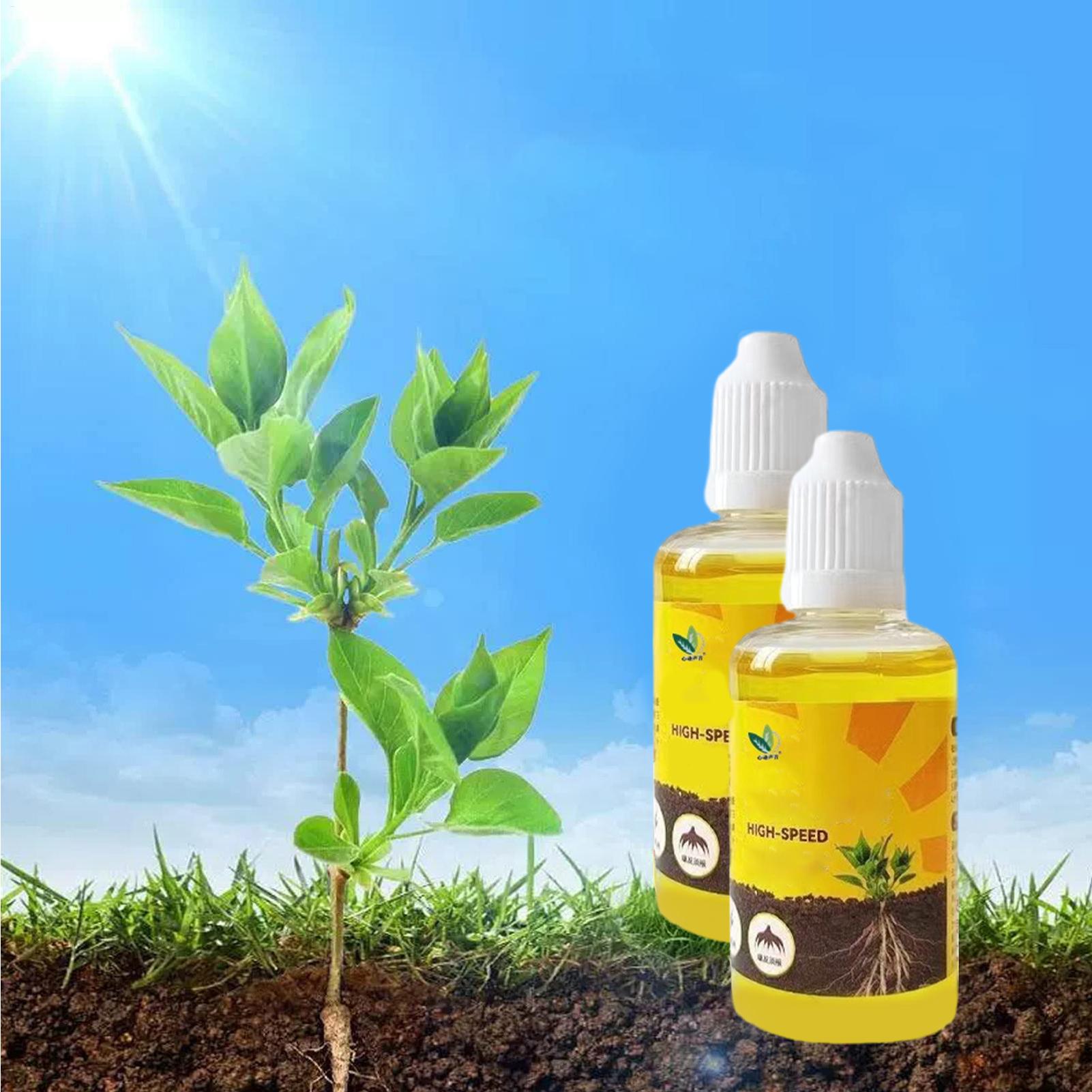 Cairan Kebangkitan Tanaman 50M - Root Stimulator Liquid ulasan dan harga
