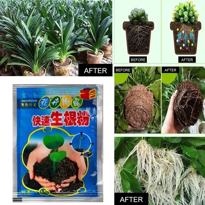 5 Buah Bubuk Perakaran Cepat A - Root Stimulator Liquid ulasan dan harga